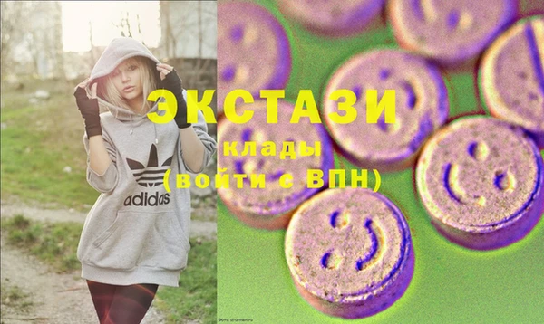 хмурый Новозыбков