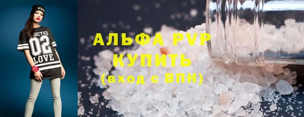хмурый Новозыбков