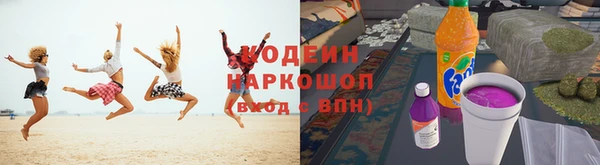 хмурый Новозыбков