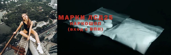 хмурый Новозыбков