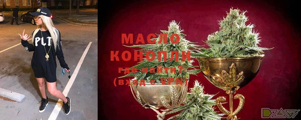 хмурый Новозыбков