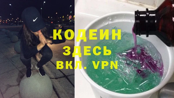 хмурый Новозыбков